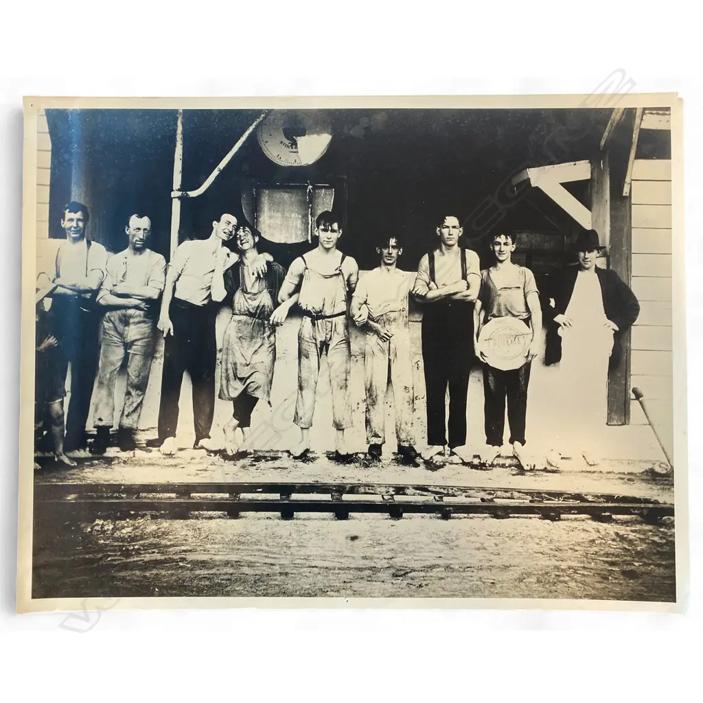 Unidentified photographer - Pihana Cream Factory workers group portrait, Image 1++